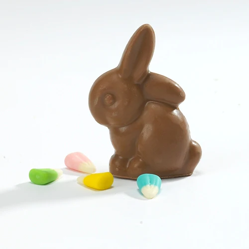 Chocolate Solid Bunny